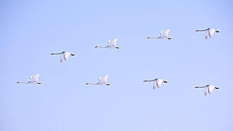 2024ChinaJoy定档 明年7月26日在上海举办